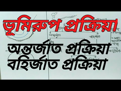 ভিডিও: কি প্রক্রিয়া ছবির প্রক্রিয়া