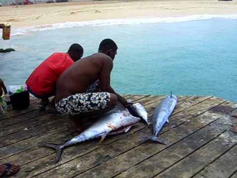 Cabo Verde - Isola di Sal - Pesca sul molo di Sant...