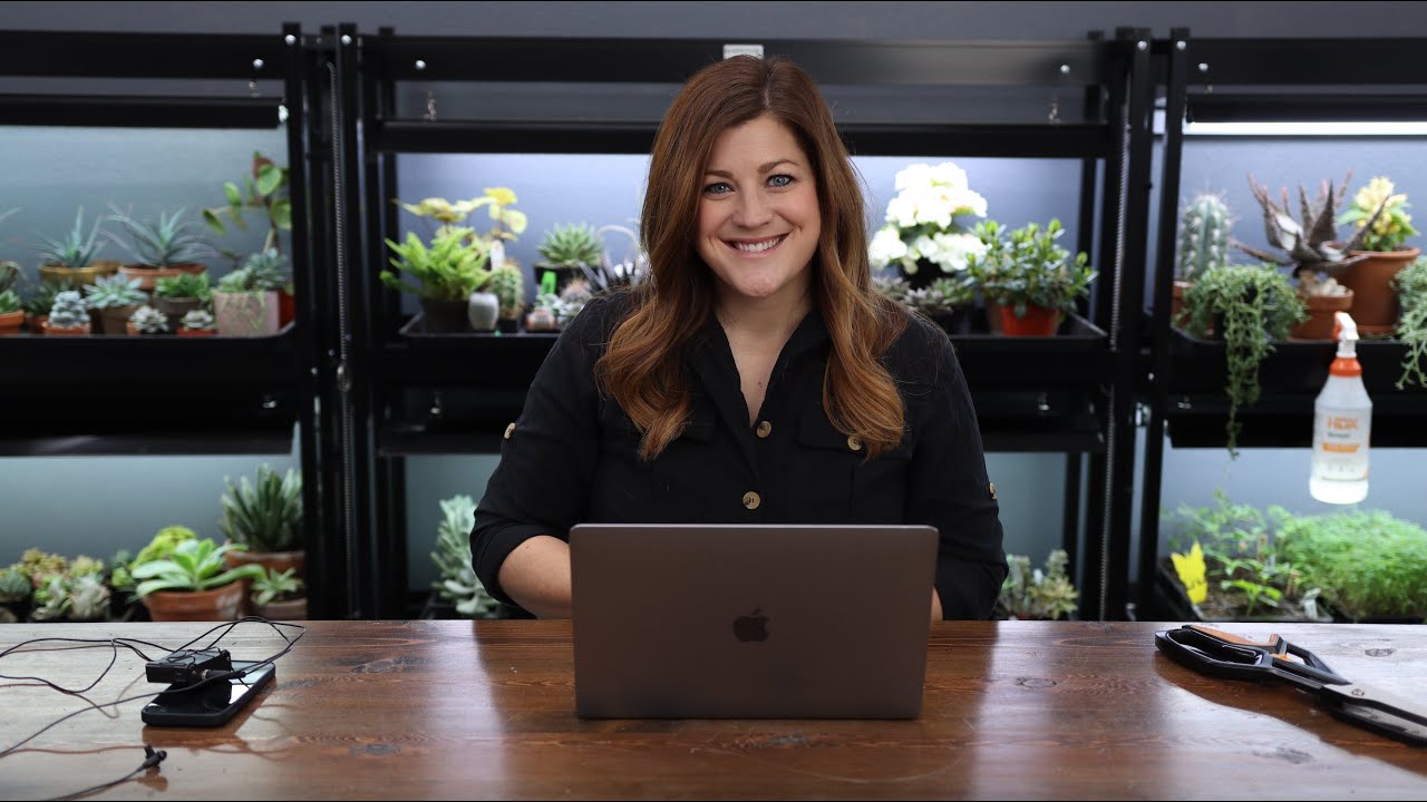 When Starting Your Channel, How Did You Grow So Fast? // Why Not Get An