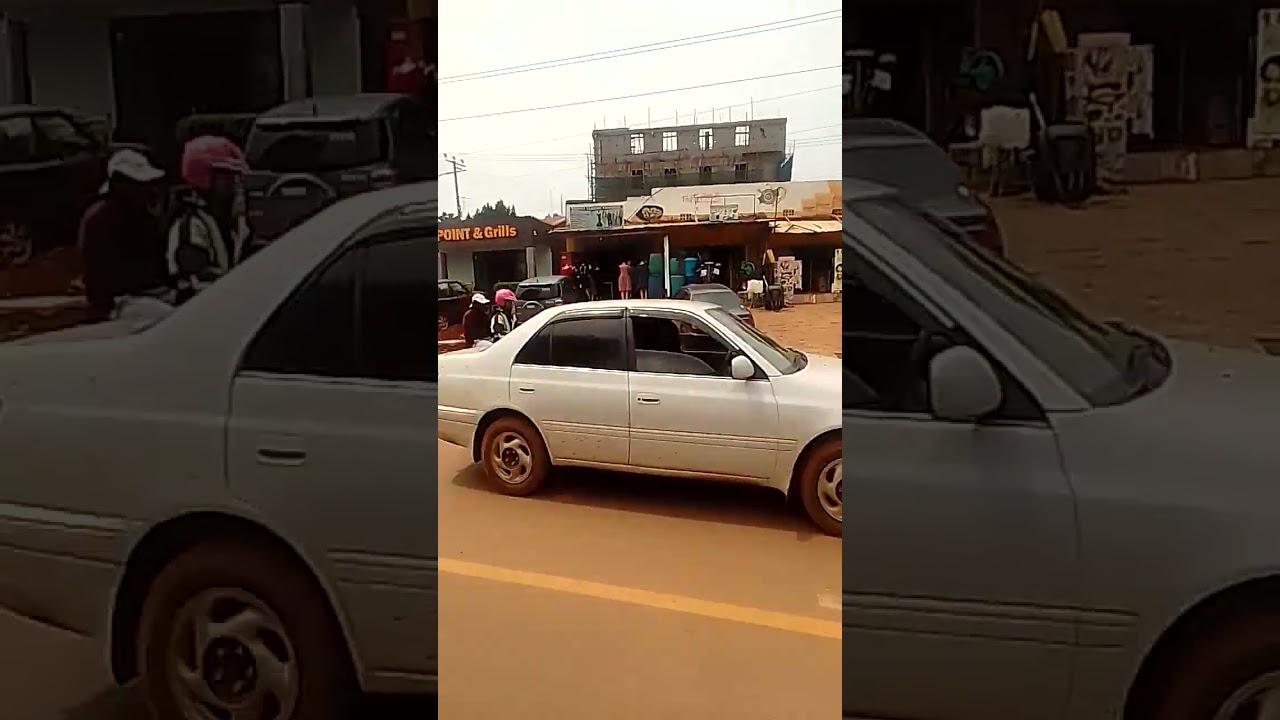 Commercial buildings alongside the road in Uganda.
