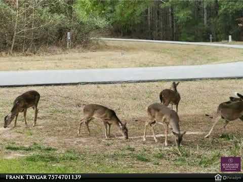 120 Colleton Circle, Edenton, NC home video tour