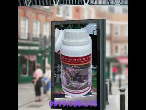 Video Mồi Thuốc chuyên dụng cho ủ bún cốt cháo cơm... - youtube