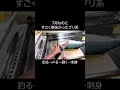 7月に釣ったブリが寒ブリ級に美味かった。釣って締めて捌いて刺身にするまで。 #釣り #刺身 #sashimi