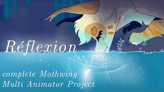 Réflexion - a Mothwing MAP [COMPLETE Warrior Cats M.A.P]