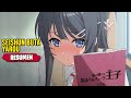 Seishun Buta Yarou wa Bunny Girl Senpai no Yume wo Minai | RESUMEN en 13 Minutos