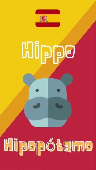 how-to-say-hippo-in-spanish-learn-spanish-youtube