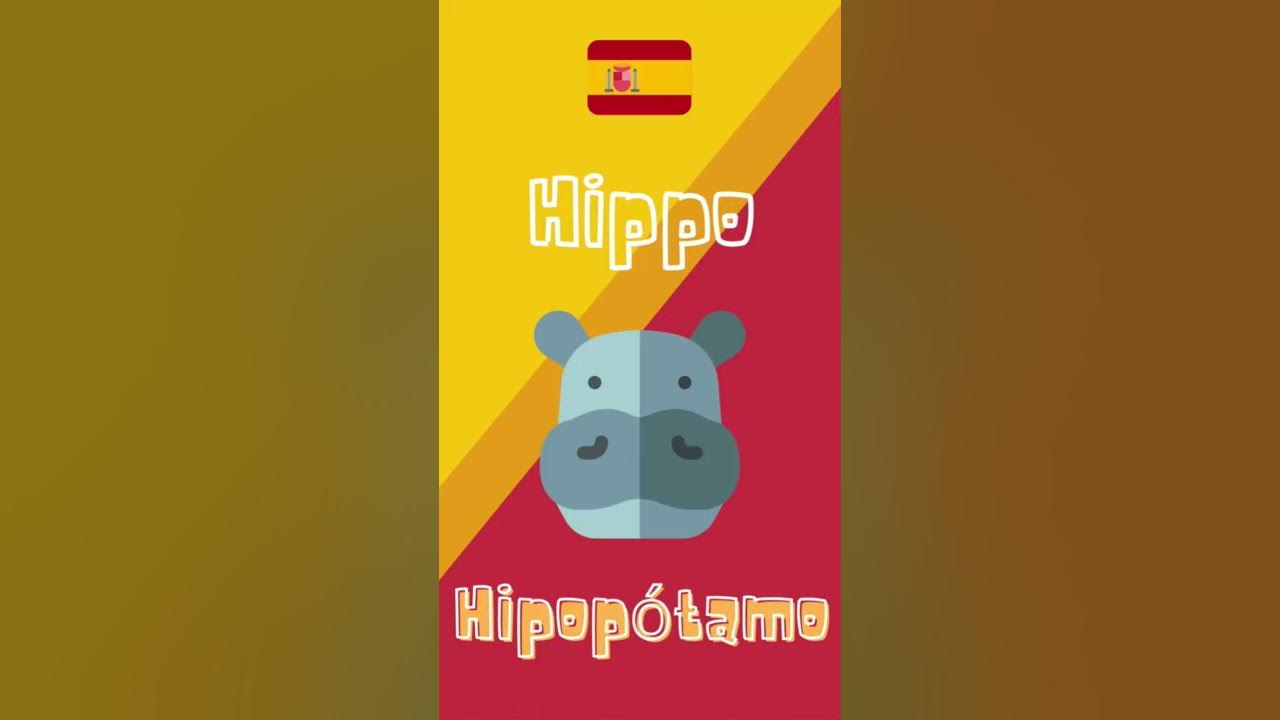 how-to-say-hippo-in-spanish-learn-spanish-youtube
