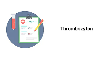 Welcher Thrombozyten Wert ist bedenklich?