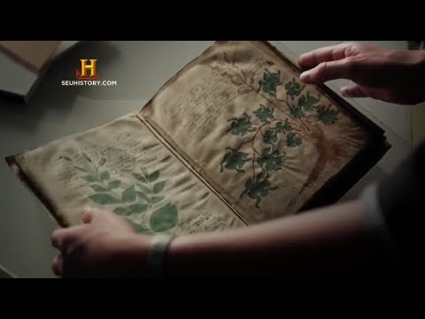 Vídeo: Quem Poderia Escrever O Manuscrito Voynich - Visão Alternativa