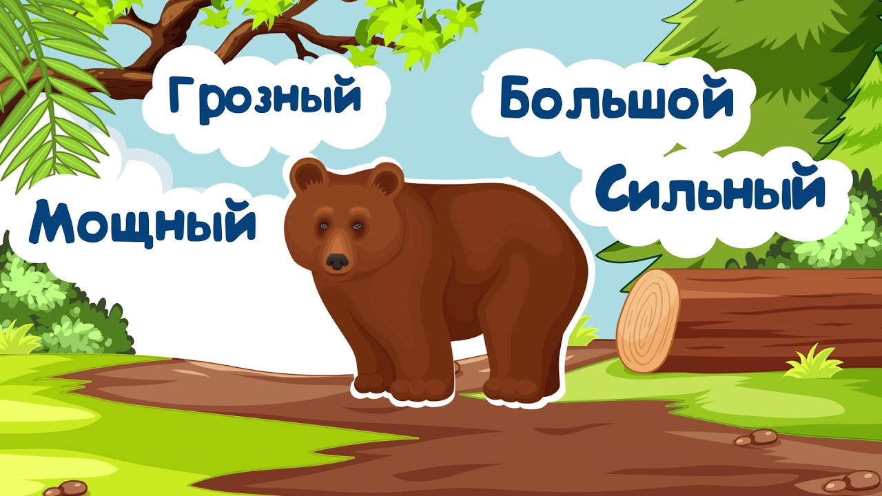 Развивающее видео для детей про животных. Бурый медведь. "Детский атлас"