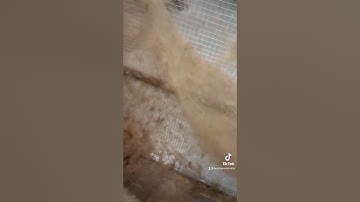 Brother Power Picker