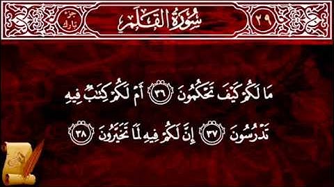 الشيخ مقدام الحضرى  سورة القلم