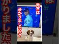 写真1枚で勘が働く女の恐ろしさ...貴方は分かりますか？【大谷翔平占い】 #大谷翔平