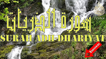 Surah Adh-dhariyat Mohamed El Menchaoui 😍سورة الذريات تلاوة هادئة محمد  المنشاوي
