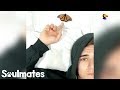 Guy Becomes Best Friends With A Butterfly | The Dodo Soulmates