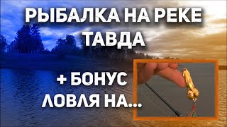 видео: ЭТА ПРИМАНКА ВЫЛОВИЛА всю рыбу. Спиннинг на реке Тавда, старицы. Щука, окунь. Рыбалка в Тюмени 2021. картинка: ЭТА ПРИМАНКА ВЫЛОВИЛА всю рыбу. Спиннинг на реке Тавда, старицы. Щука, окунь. Рыбалка в Тюмени 2021.