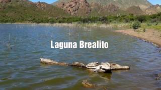 Provincia de Salta 2015 - Seclantas y Brealito