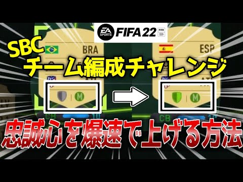 初心者必見 忠誠心を爆速で上げる方法 チーム編成チャレンジ Sbc Youtube