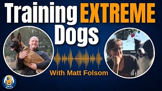 Confident Working Protection Dogs: Training Chat With Matt Folsom of @modernmalinois #211 #podcast