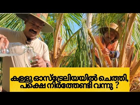 കള്ളുചെത്തൽ ഇവിടെയും തുടങ്ങി - Video Thumbnail