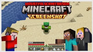 Was ist FALSCH mit diesem MINECRAFT Screenshot? | Minecraft Challenge [Deutsch]