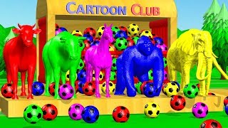 Learn Colors with Animals and Soccer #Ball Colorful Cartoon for Kids -  YouTube