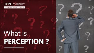 What is Perception | MBA - Organizational Behavior