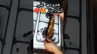 يوم مميز للرنجا ️️️️️