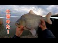 ヘラブナ釣りの遊園地みたいな水系で遊ぶのが私の人生