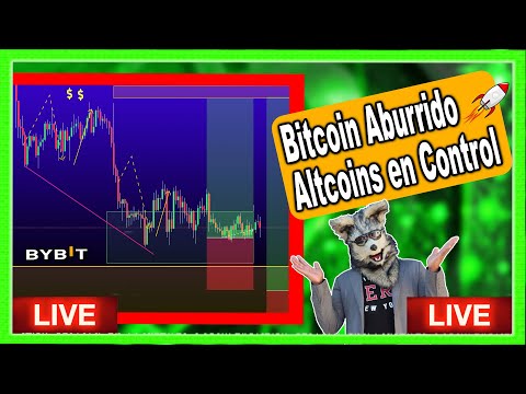BITCOIN sigue Lateral sin embargo las Altcoins podrian aprovecharlo para rebotar? |V590 1 BITCOIN sigue Lateral sin embargo las Altcoins podrian aprovecharlo para rebotar? |V590 thumbnail