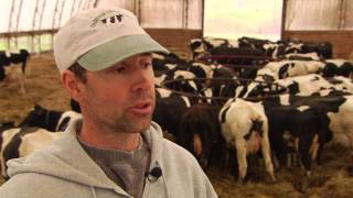 Bedded Pack: Choiniere Family Farm