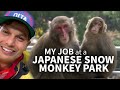 Working at a japanese snow monkey park  only in japan