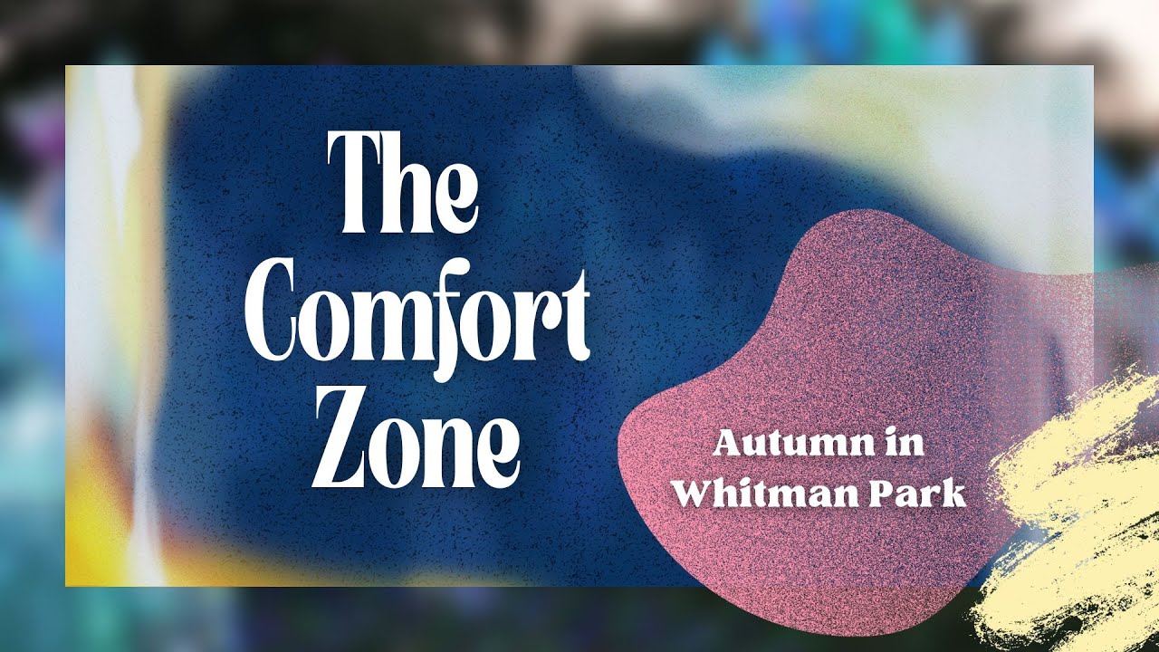 The Comfort Zone - Autumn in Whitman Park