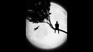 XXXTENTACION - Changes (Lirik dan terjemahan)