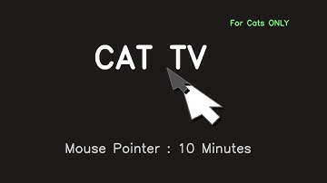Cat TV: Mouse Pointer - Silent (10 Minutes)