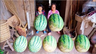 Harvest แตงโมขนาดใหญ่ | งานเลี้ยงแตงโมกับการทำอาหารในประเทศจีนแบบดั้งเดิม