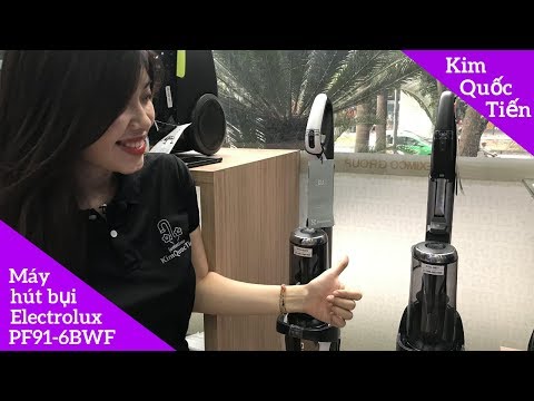 Máy hút bụi không dây Electrolux PF91-6BWF + Máy hút bụi không dây Electrolux PF91-5BTF