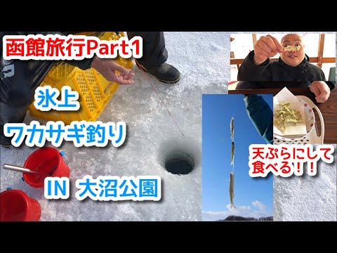 ワカサギ釣り 函館 大沼公園の氷上でワカサギを釣って天ぷらにして食べる How To Fish Wakasagi And Eat Tempura Youtube
