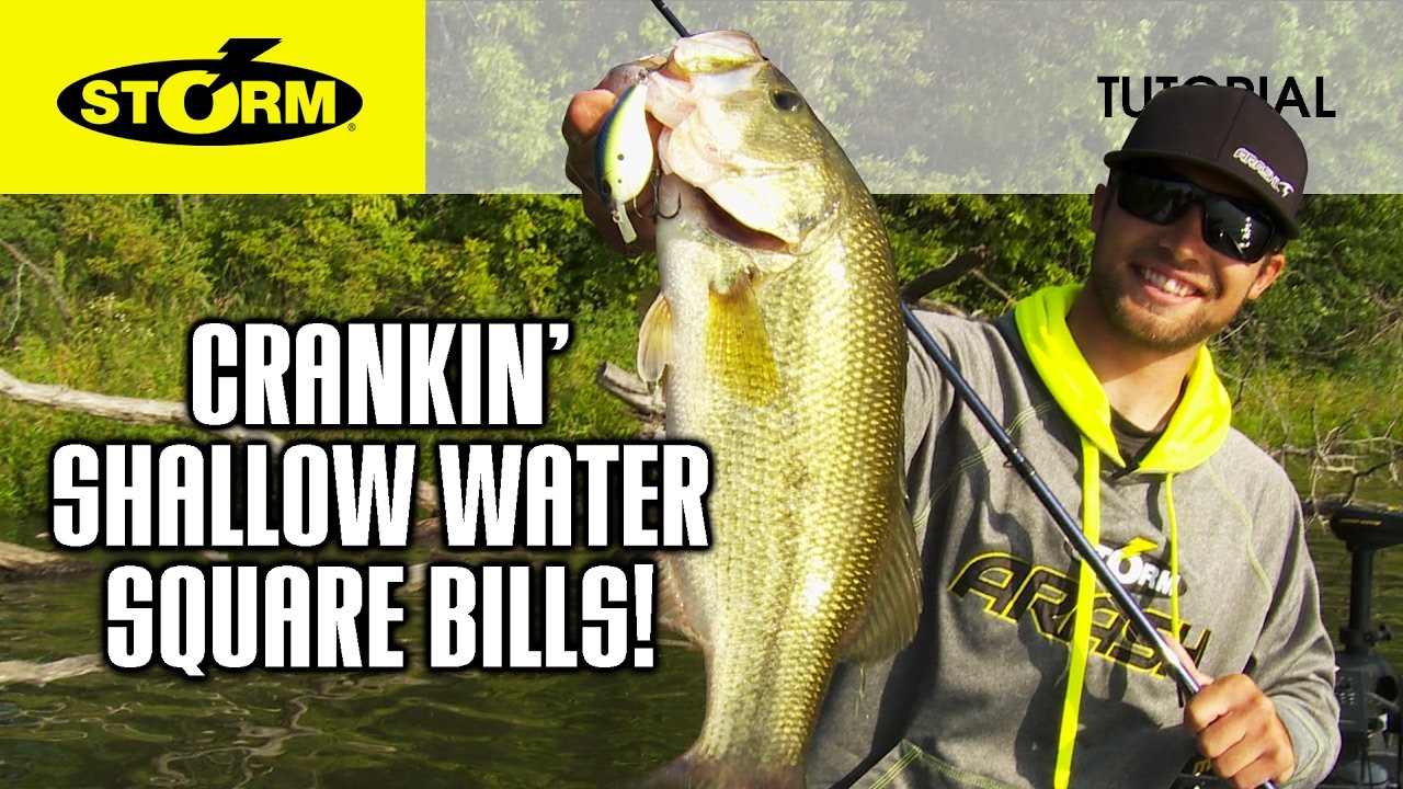 Square Bill Crankbaits in Shallow Water: HOW TO FISH