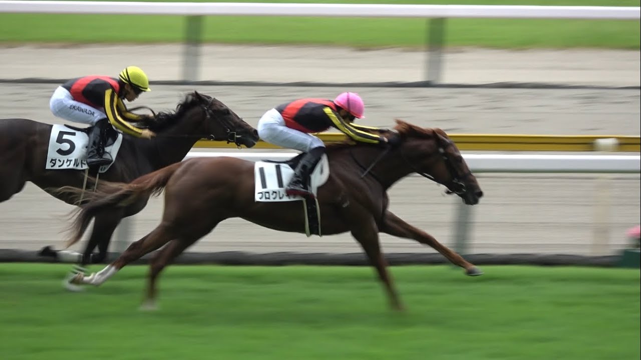 エピファネイア新馬戦〜大阪杯 現地単勝馬券&写真 白っぽ 