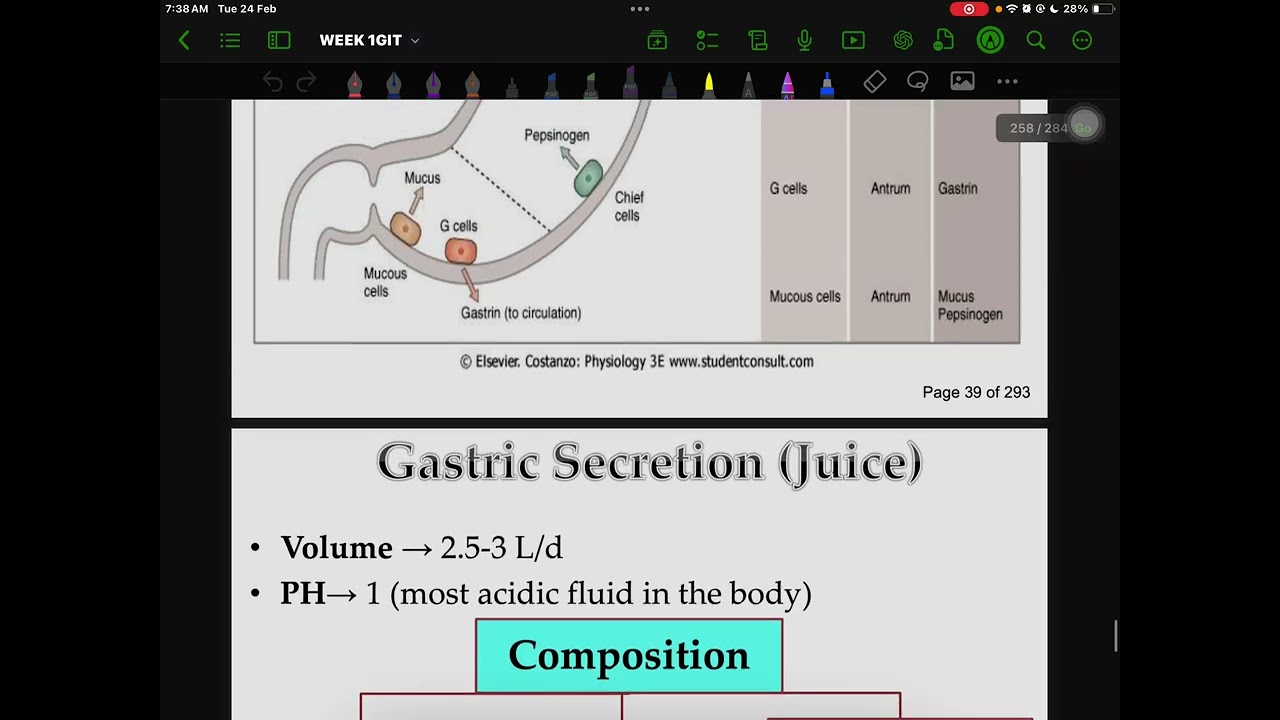 Gastric Secretions NMU 
