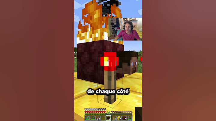 Herobrine est TROP Réaliste sur Minecraft...