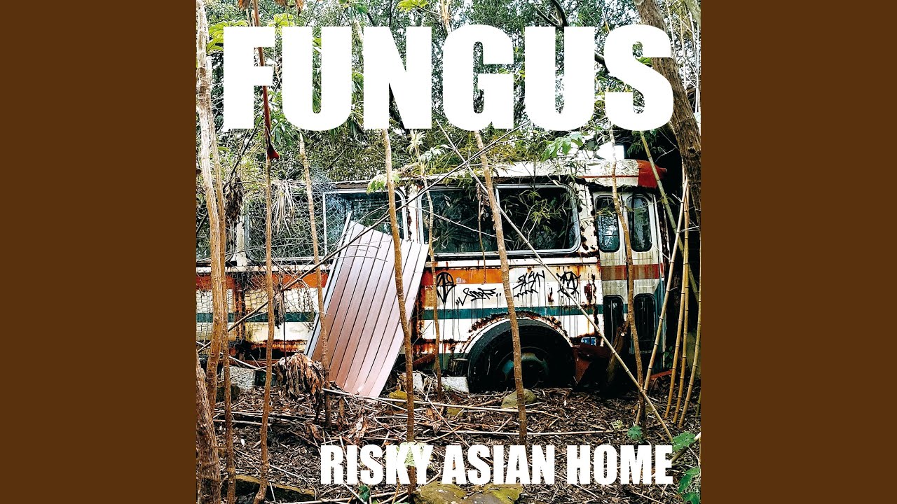 在 YouTube 上观看 FRUITLESS AGREMENT