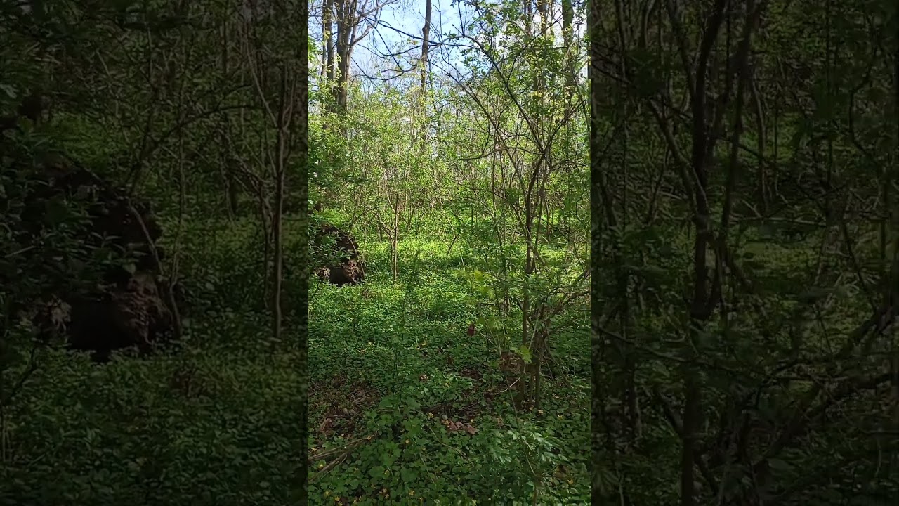 Г226молитва подорожі 263 prayer journey 