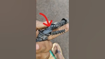 Hyundai i10 stating problem #shortvideo #automobile #mehanic #viralvideo #mecanic #hyundai