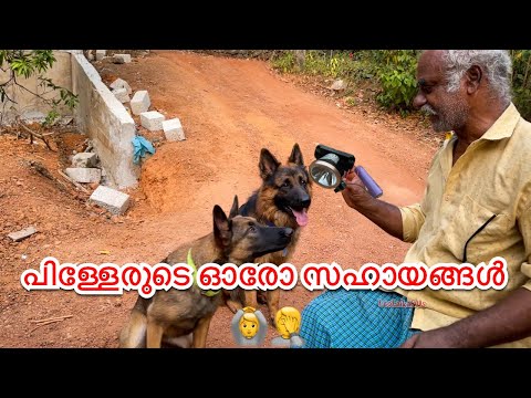 പിള്ളേരുടെ സഹായം ഇത്തിരി കൂടുന്നുണ്ട് 🥲😂|LeoLaika|home