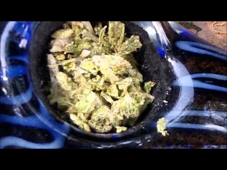 dank smoke sesh