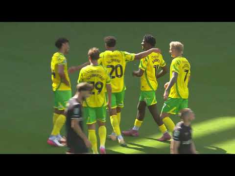 Norwich City v MK Dons Highlights — football highlights