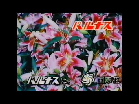CM 1990 パルナス ピロシキ
