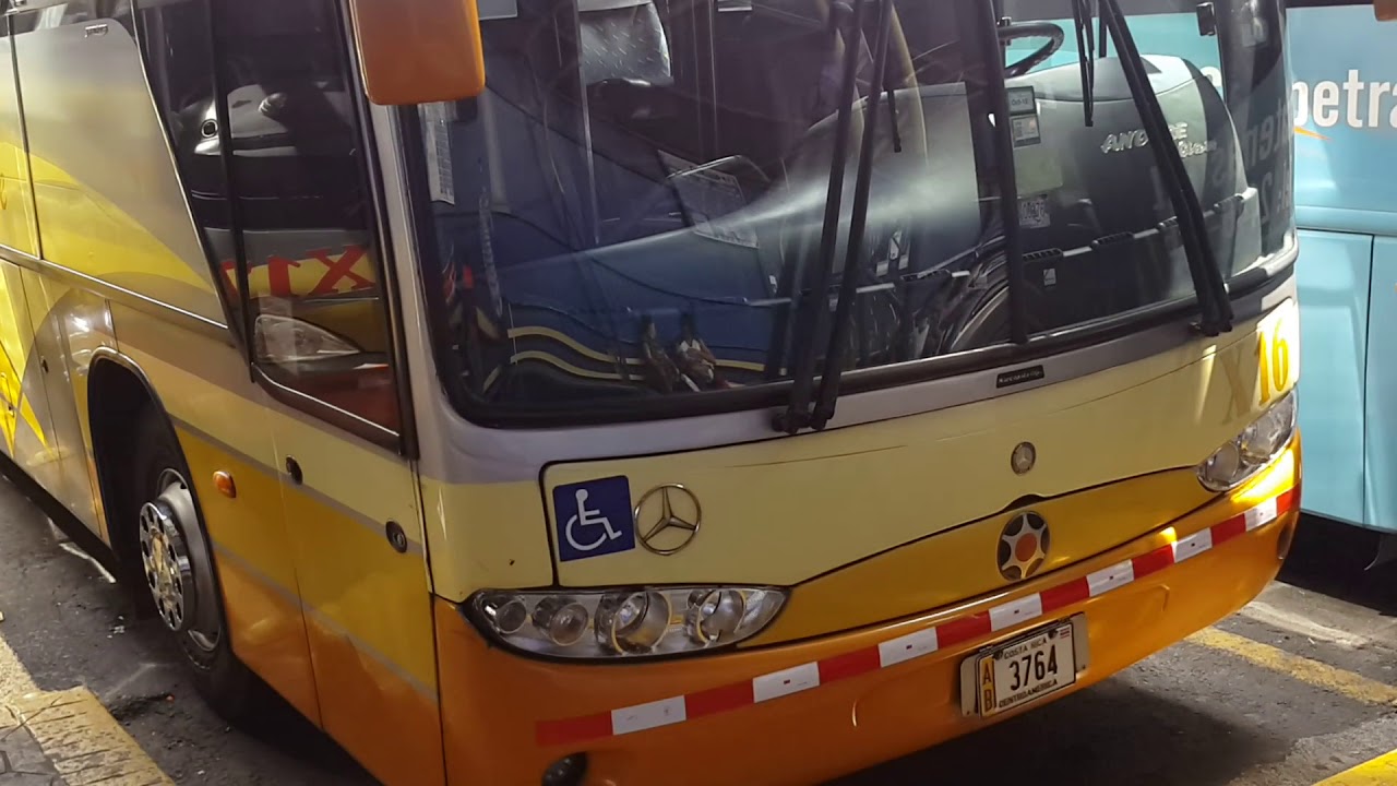 BUSES EN EL MERCADO LA COCA COLA YouTube